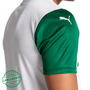Camisa Palmeiras JOGADOR 25/26 Away