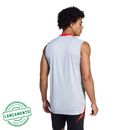 Camisa Regata Internacional 2025/26 Treino Cinza